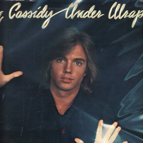 LP Shaun Cassidy, Under Wraps, 1978 USA